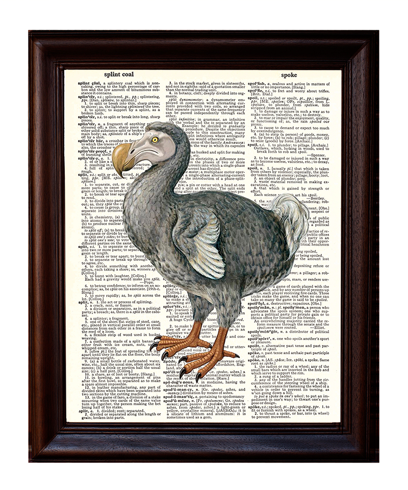 retro dodo retro dodo